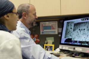 Dr Bill Rebeck teaching a student in his lab.