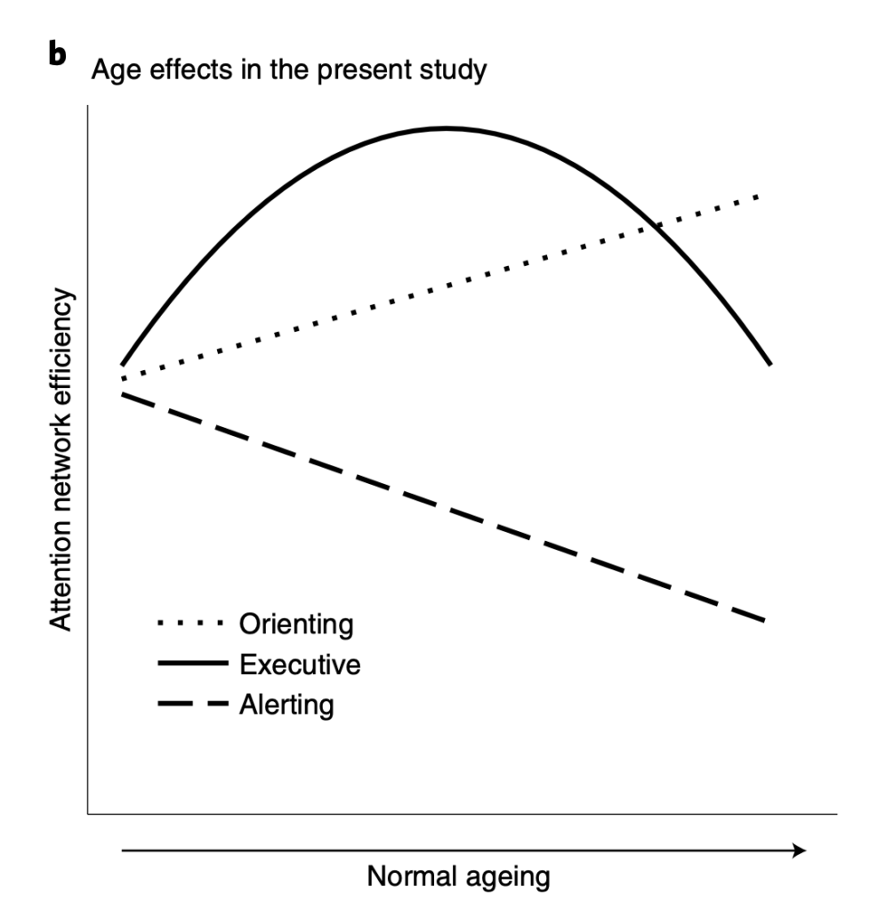 Image of age effect in the study