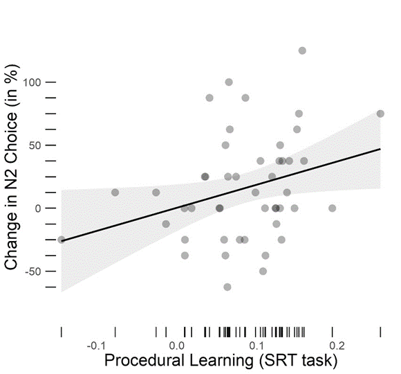 Procedural Learning