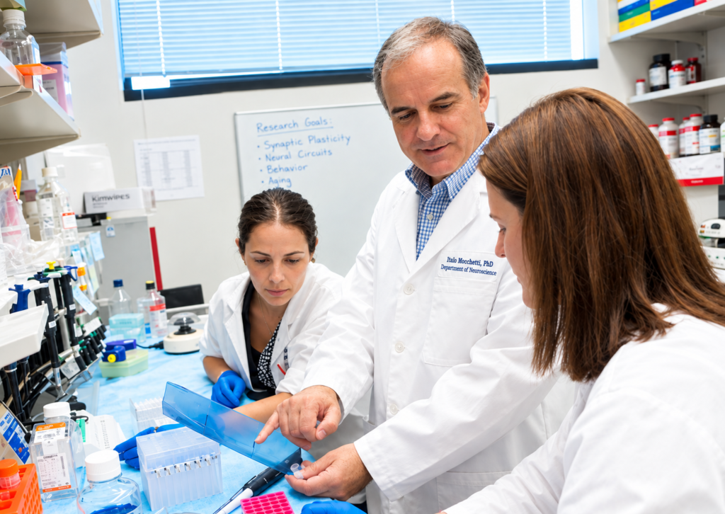 Dr Italo Mocchetti working in the lab